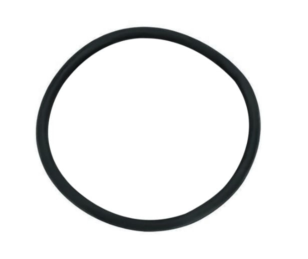 154666006_1